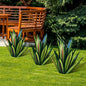 alwaysdwellTM - 🌵 Waterproof Solar Garden LED Agave